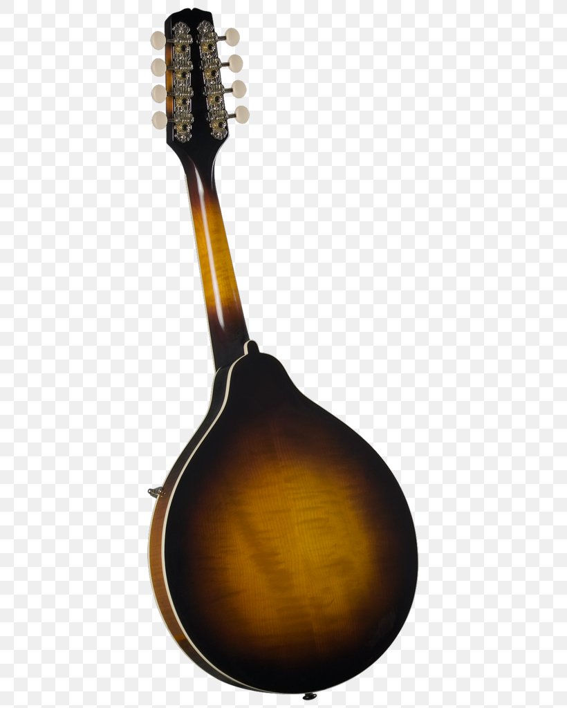 Mandolin Musical Instruments Sunburst Amazon.com F-lyuk, PNG, 645x1024px, Watercolor, Cartoon, Flower, Frame, Heart Download Free