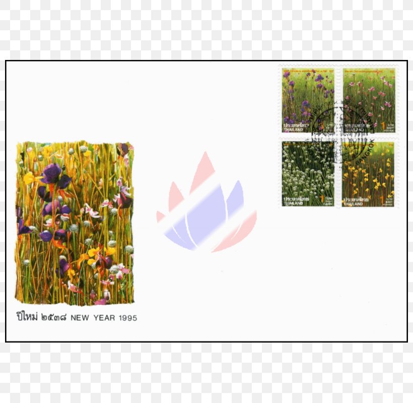 Petal Meadow Floral Design Pattern, PNG, 800x800px, Petal, Flora, Floral Design, Flower, Flowering Plant Download Free
