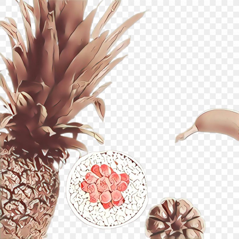 Pineapple, PNG, 2000x2000px, Pineapple, Ananas, Brown, Flower, Fruit Download Free