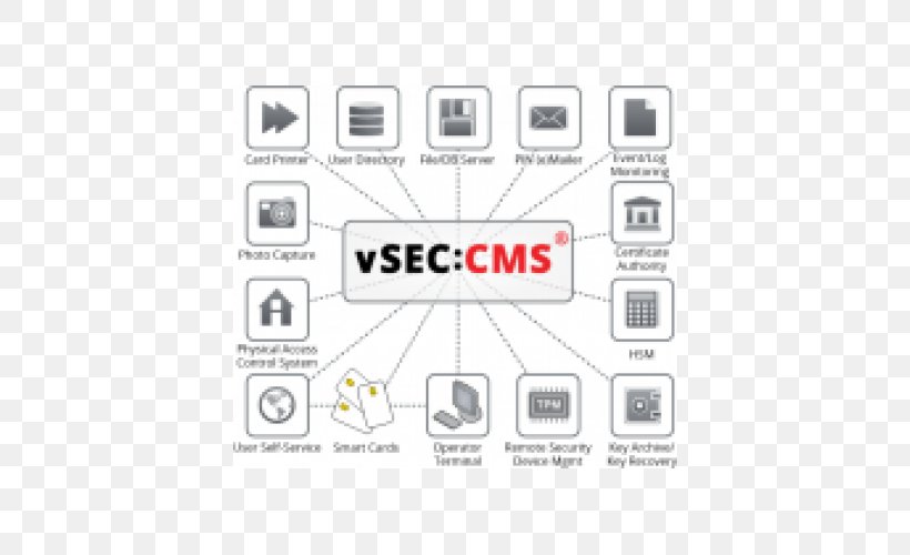 Smart Card Management System Versasec Content Management System Database, PNG, 500x500px, Smart Card, Area, Authentication, Brand, Communication Download Free