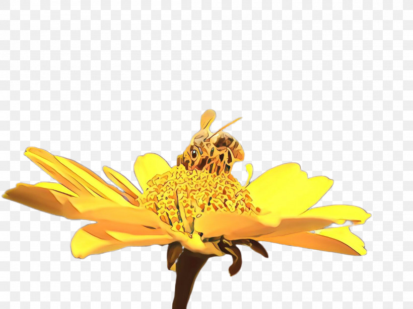 Sunflower, PNG, 2307x1732px, Flower, Bee, Bee Pollen, Closeup, Daisy Family Download Free