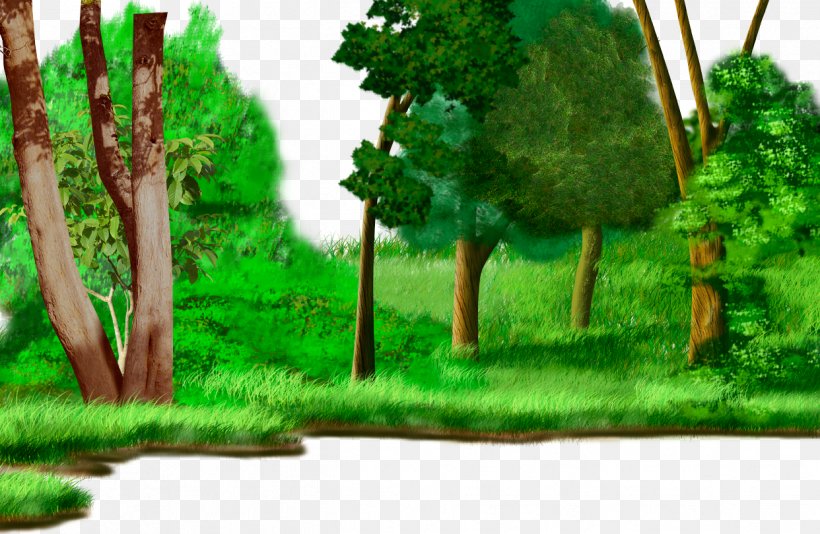 Forest Drawing Cartoon Animation Watercolor Painting, PNG, 1242x810px, Forest, Animation, Biome, Branch, Cartoon Download Free