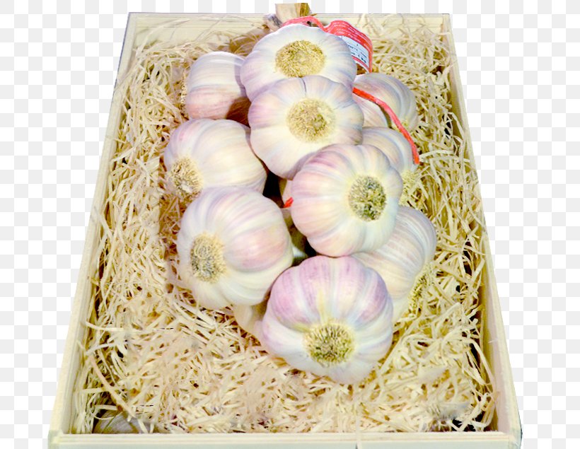 Lautrec Pink Garlic Lautrec Pink Garlic Shallot Dal, PNG, 697x635px, Garlic, Country, Dal, Delivery, European Union Download Free
