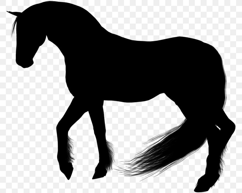 Silhouette Mane Mustang Pony Stallion, PNG, 780x655px, Silhouette, Animal, Animal Figure, Blackandwhite, Drawing Download Free