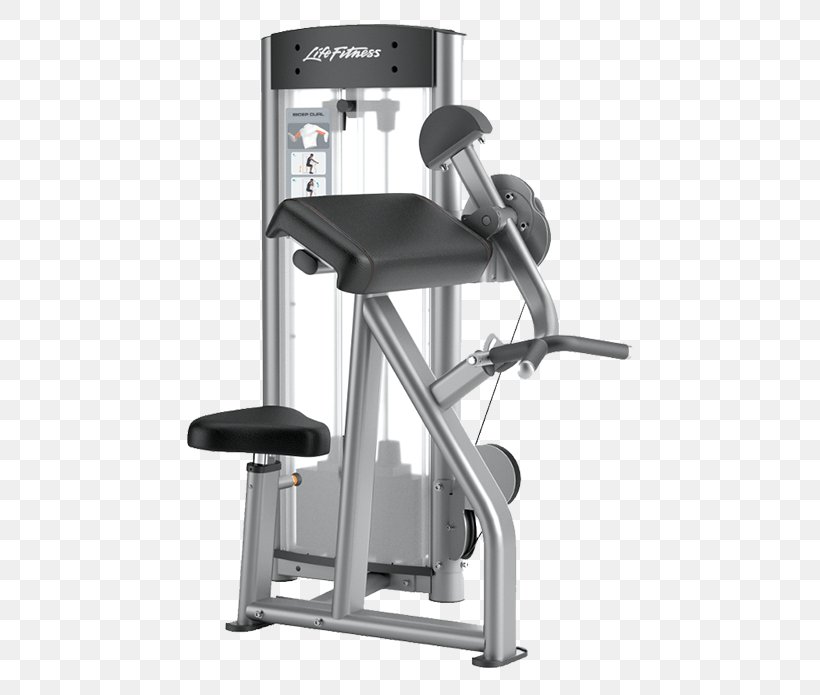 Biceps Curl Exercise Equipment Fitness Centre Smith Machine, PNG, 745x695px, Biceps Curl, Arm, Biceps, Exercise Equipment, Exercise Machine Download Free