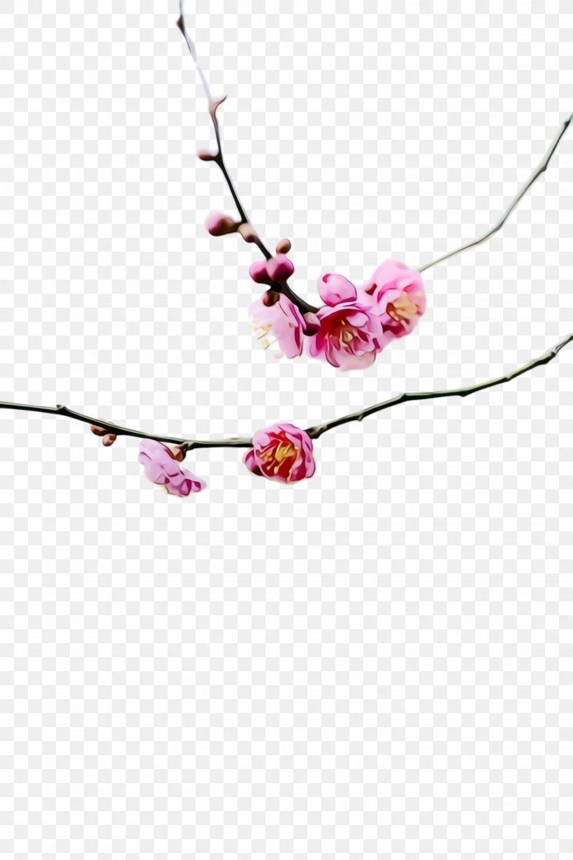 Cherry Blossom, PNG, 1632x2448px, Watercolor, Blossom, Branch, Cherry Blossom, Fashion Accessory Download Free