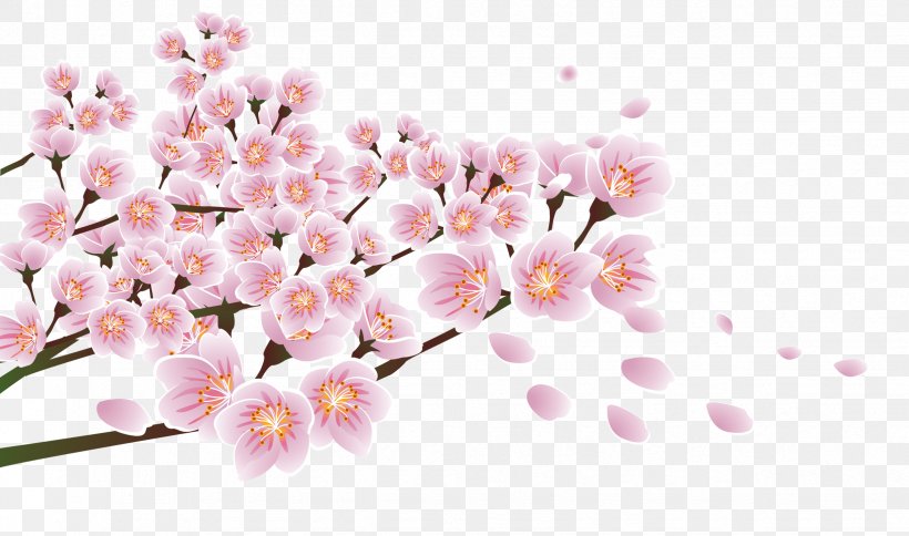 Download Flower Floral Design Blossom, PNG, 2453x1448px, Flower, Blossom, Branch, Cherry Blossom, Cut Flowers Download Free