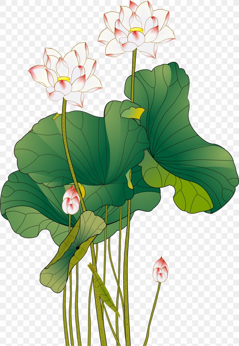 Download Ink Wash Painting, PNG, 2545x3688px, China, Aquatic Plant, Coreldraw, Flora, Floral Design Download Free