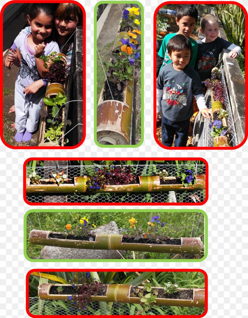 Karetu School Gardening TUI Group Tracey Dee, PNG, 1064x1361px, Garden, Collage, Gardening, Judge, Knowledge Download Free