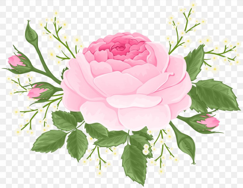 Pink Rose With White Flowers Clip Art Image, PNG, 8000x6188px, Centifolia Roses, Artificial Flower, Blue Rose, Cut Flowers, Floral Design Download Free