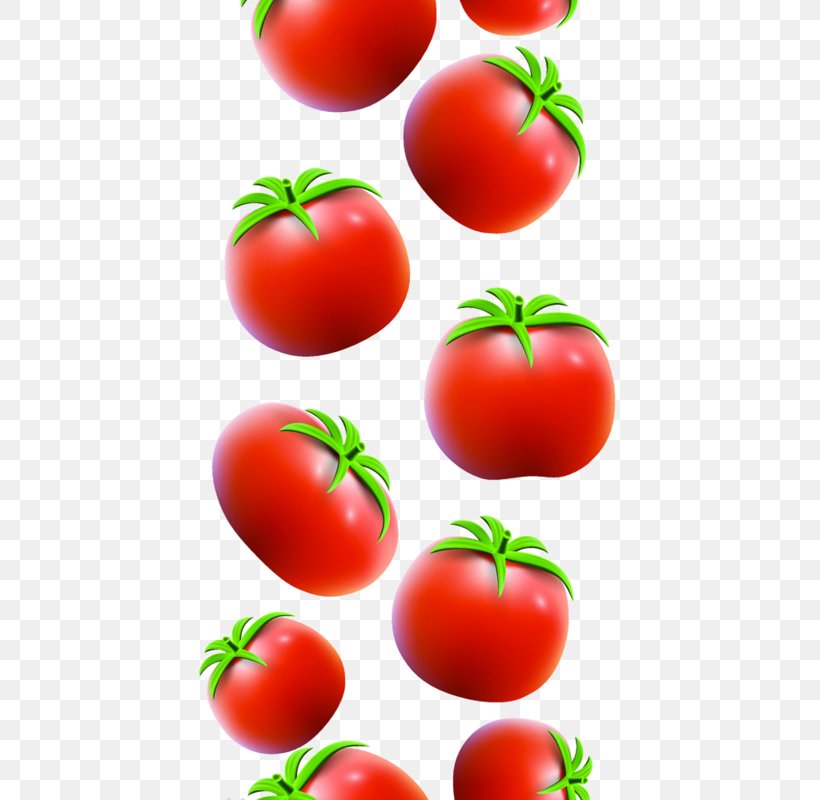 Plum Tomato Bush Tomato, PNG, 530x800px, Plum Tomato, Auglis, Bush Tomato, Diet Food, Food Download Free