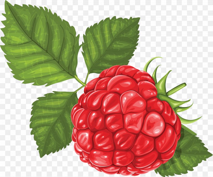 Raspberry Clip Art, PNG, 3514x2920px, Raspberry, Berry, Boysenberry, Food, Fruit Download Free