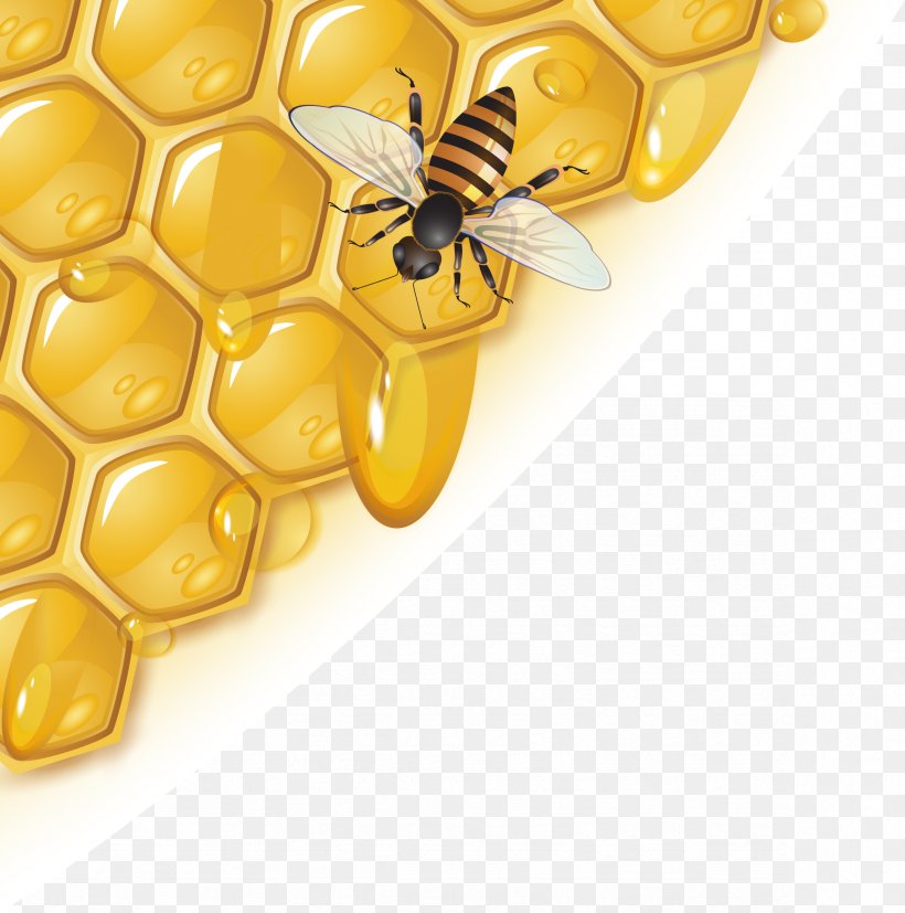 Beekeeper Honey Extractor Sugar, PNG, 2358x2380px, Bee, Beekeeper, Beekeeping, Brix, Condensed Milk Download Free
