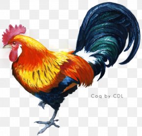 Le Coq Images Le Coq Transparent PNG Free download