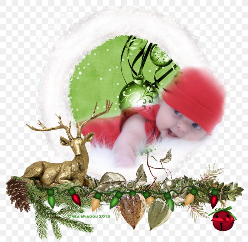 Reindeer Christmas Ornament Tree Infant, PNG, 800x800px, Reindeer, Christmas, Christmas Decoration, Christmas Ornament, Deer Download Free