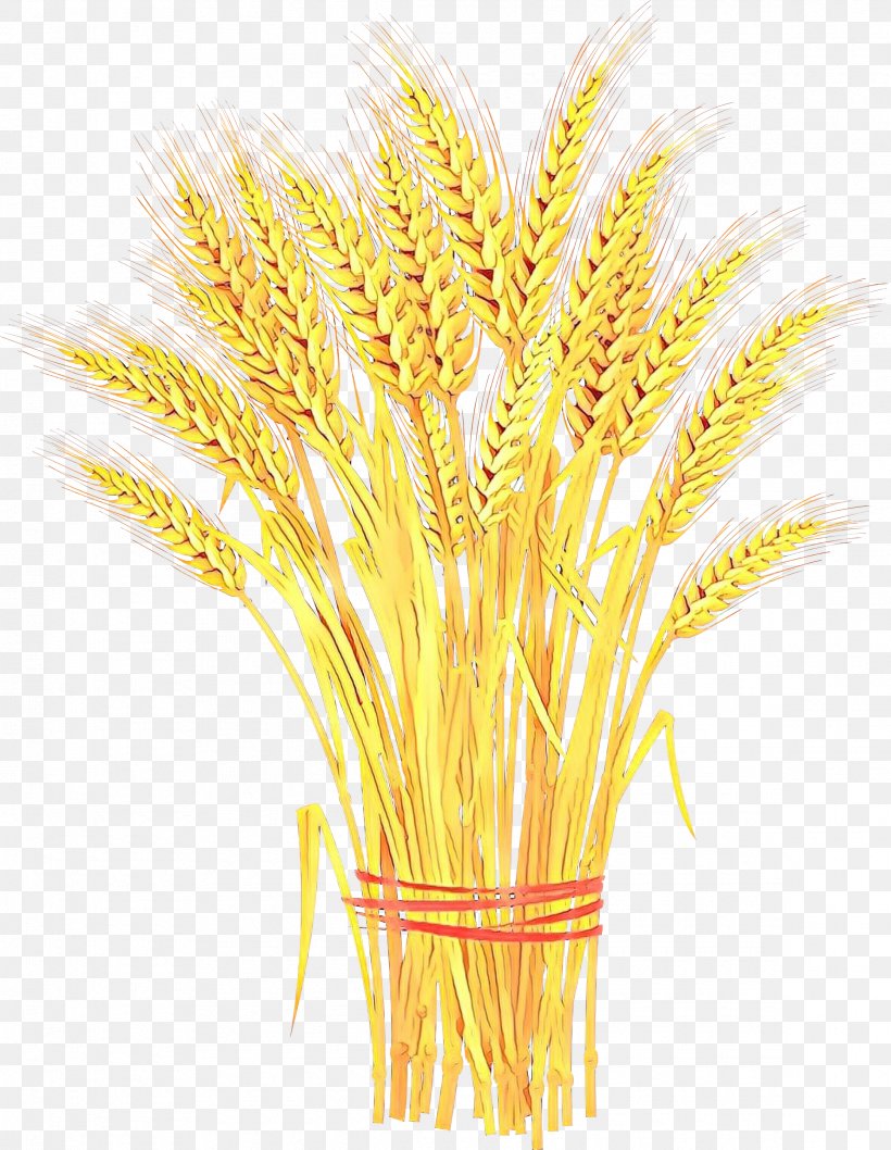 Wheat Clip Art Vector Graphics Sheaf Cereal, PNG, 2325x3000px, Wheat, Agriculture, Caryopsis, Cereal, Ear Download Free