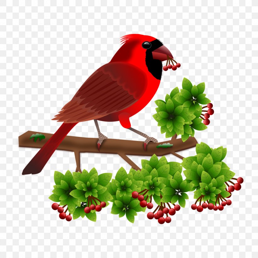 Bird Android, PNG, 1280x1280px, Bird, Android, Beak, Branch, Cardinal Download Free