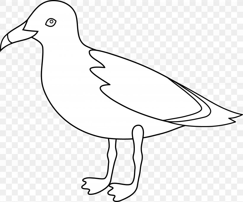 Gulls Bird Drawing Clip Art, PNG, 6952x5789px, Gulls, Area, Art, Artwork, Beak Download Free