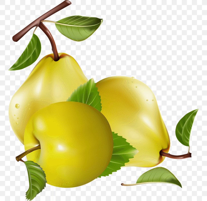 Juice Pear Fruit Clip Art Berries, PNG, 761x800px, Juice, Accessory Fruit, Apple, Berries, Citrus Download Free