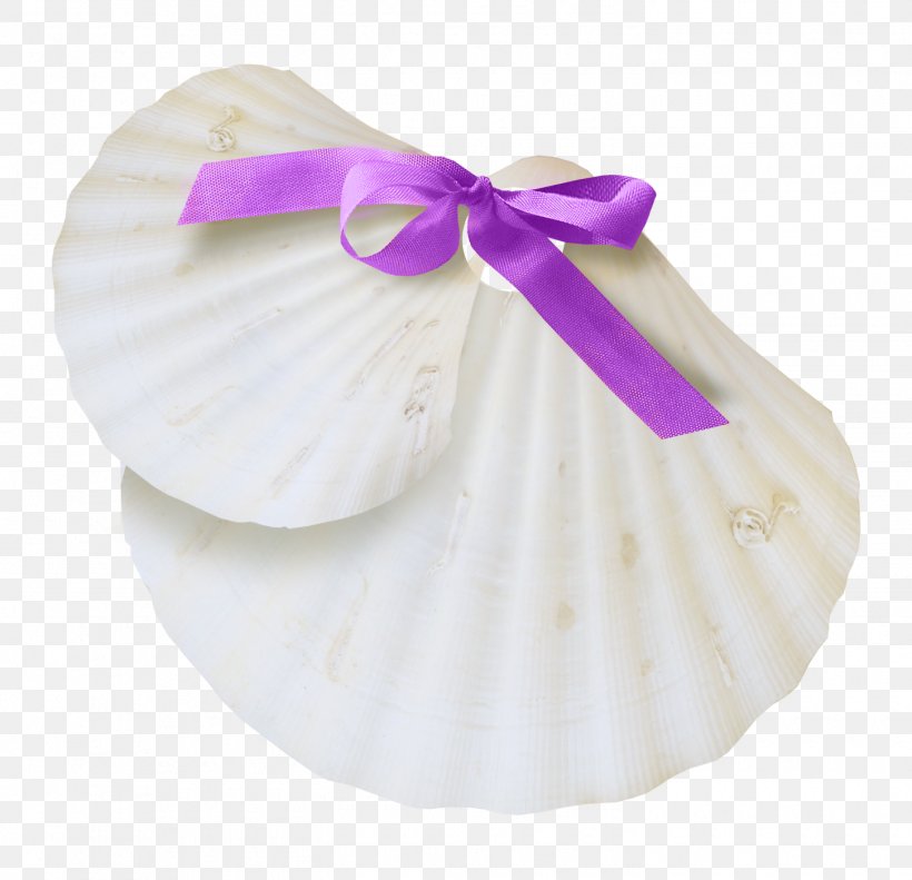 Seashell White Image Sea Snail, PNG, 1450x1400px, Seashell, Beach, Color, Conch, Fossil Download Free