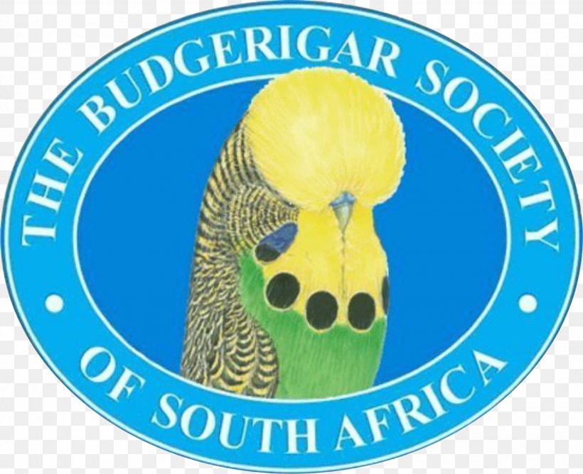 Budgerigar Logo Product Bird Font, PNG, 2022x1649px, Budgerigar, Bird, Logo, Organism, Society Download Free