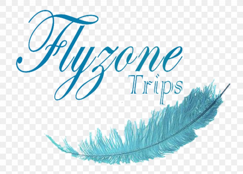 Floristería Emmanuel Travel Agent Minicoy Tour Operator, PNG, 3200x2300px, Travel Agent, Blue, Brand, Calligraphy, Feather Download Free