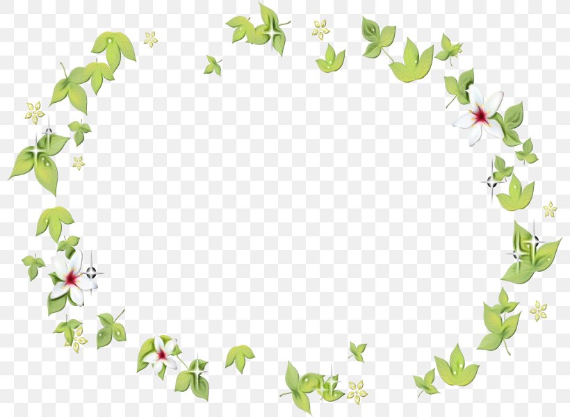 Flower Drawing, PNG, 800x600px, Picture Frames, Drawing, Flower, Leaf, Petal Download Free