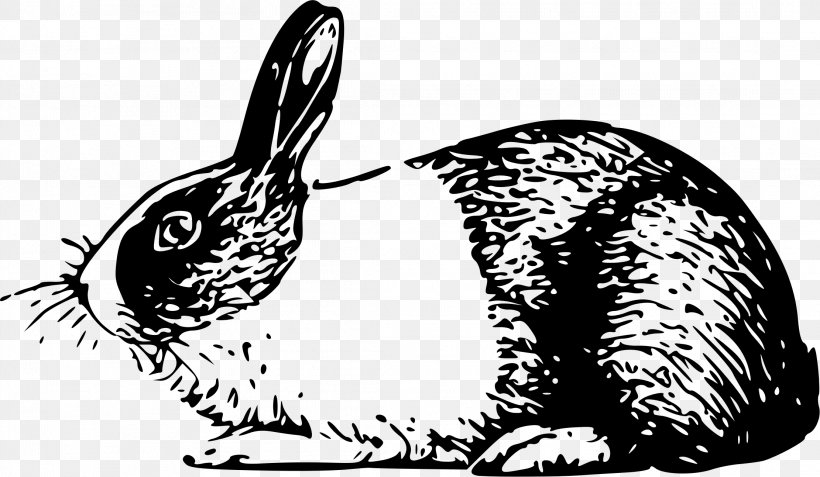 Holland Lop Angora Rabbit White Rabbit Easter Bunny, PNG, 2221x1293px, Holland Lop, Angora Rabbit, Beak, Black And White, Carnivoran Download Free