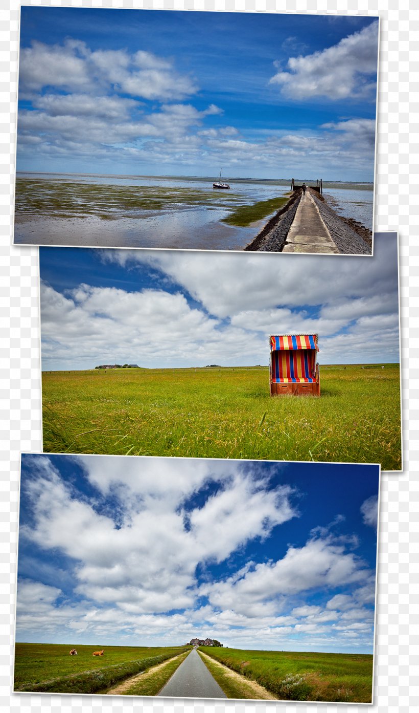 Hooge Wadden Sea Amrum Halligen Sylt, PNG, 1000x1699px, Sylt, Cloud, Daytime, Ecoregion, Ecosystem Download Free