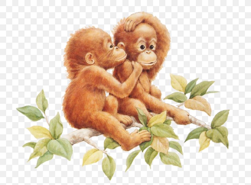 Orangutan Monkey Gorilla Japanese Macaque Clip Art, PNG, 765x606px, Orangutan, Animal, Ape, Fauna, Gorilla Download Free
