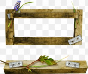 Picture Frames Film Frame Photography PNG