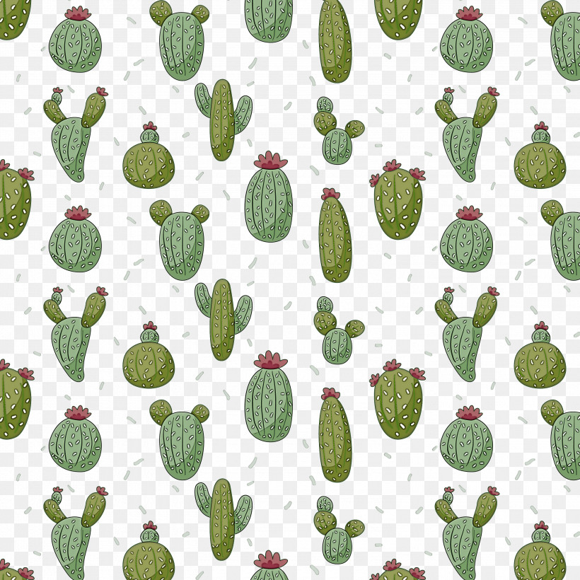 Cactus, PNG, 3000x3000px, Plant Stem, Cactus, Fescues, Festuca Pratensis, Flower Download Free
