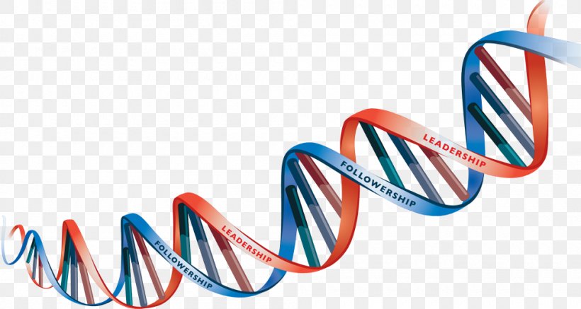 DNA Heredity Clip Art, PNG, 1000x534px, Dna, Biology, Brand, Electric Blue, Fashion Accessory Download Free