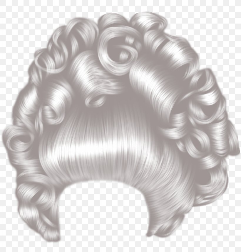 Hairstyle Wig Hair Care, PNG, 1024x1070px, Hair, Black And White, Braid, Bun, Capelli Download Free