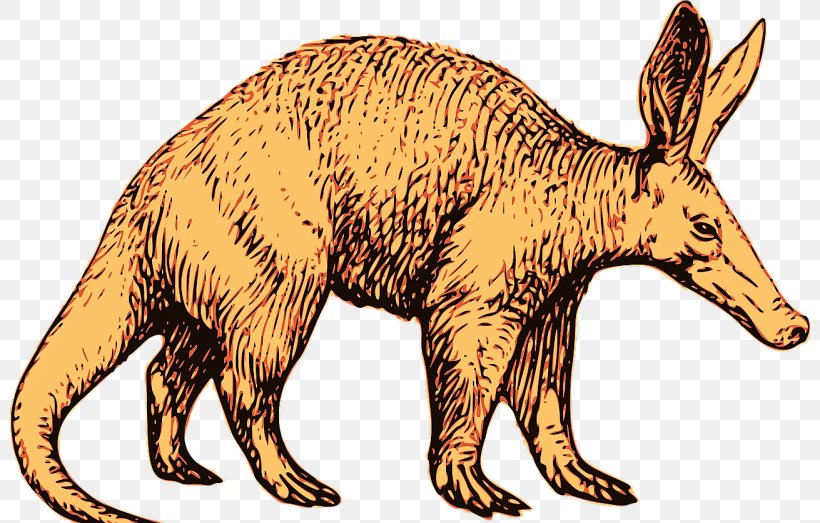 Animal Cartoon, PNG, 800x523px, Aardvark, Animal, Animal Figure, Anteater, Drawing Download Free