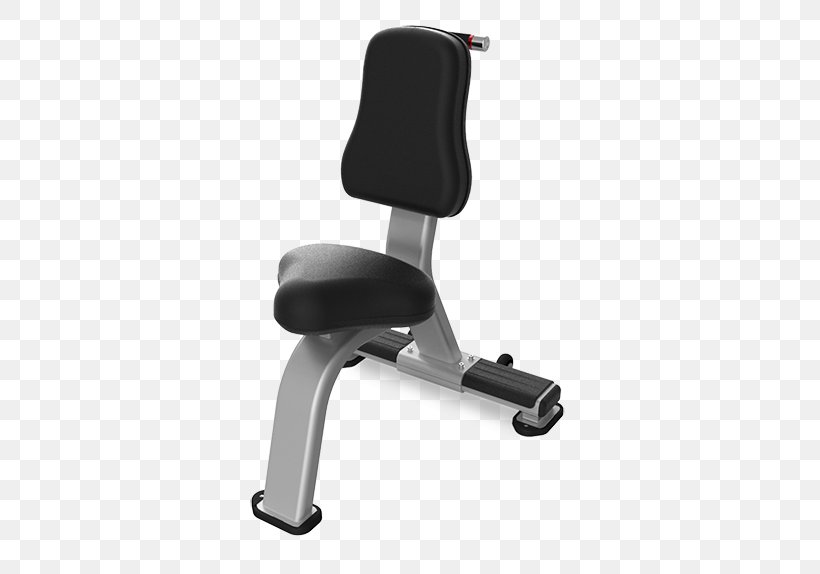 Bench Nautilus, Inc. Physical Fitness Exercise Equipment Triceps Brachii Muscle, PNG, 500x574px, Bench, Armrest, Barbell, Biceps Curl, Chair Download Free
