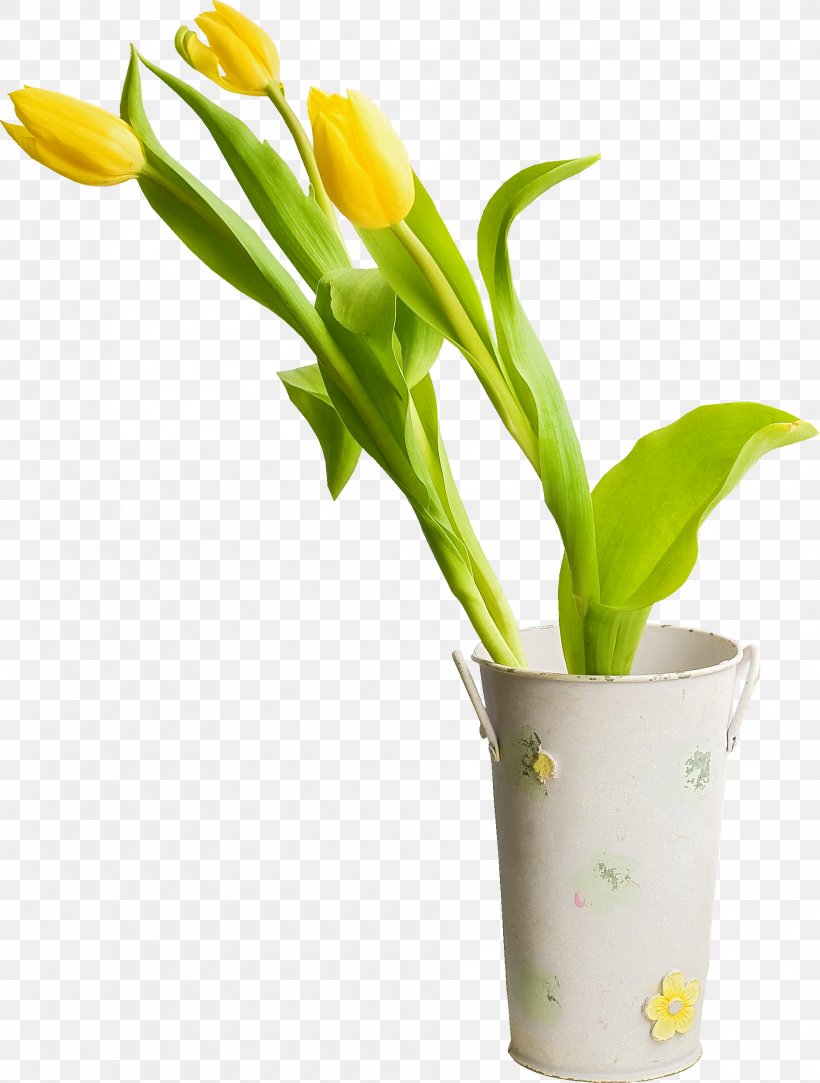 Cut Flowers Tulip Plant Clip Art, PNG, 1881x2486px, Flower, Cut Flowers, Floral Design, Floristry, Flowering Plant Download Free