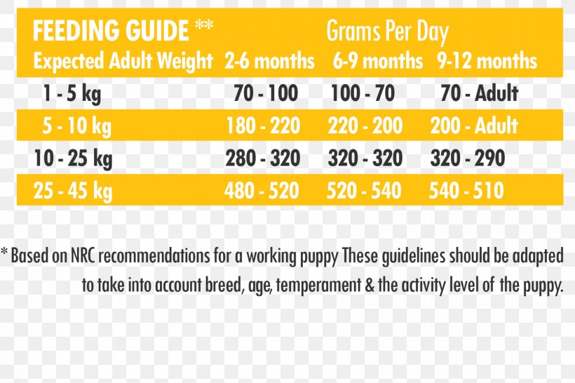 Dog Food Age Chart