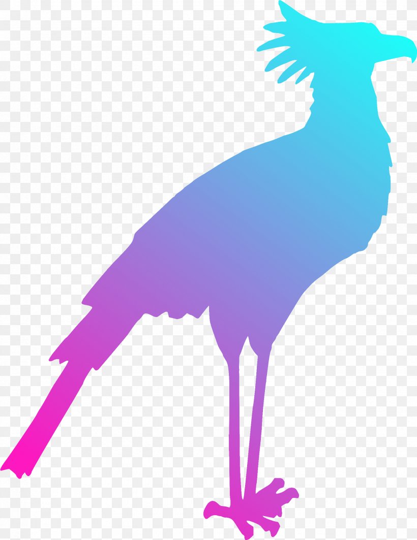 Secretarybird Common Ostrich Lovebird Clip Art, PNG, 1851x2400px, Bird, Beak, Chicken, Common Ostrich, Drawing Download Free