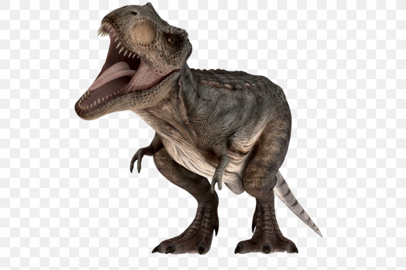 Tyrannosaurus Velociraptor Dinosaur Parque Shopping Barueri, PNG, 920x613px, Tyrannosaurus, Animal, Dinosaur, Extinction, Fauna Download Free