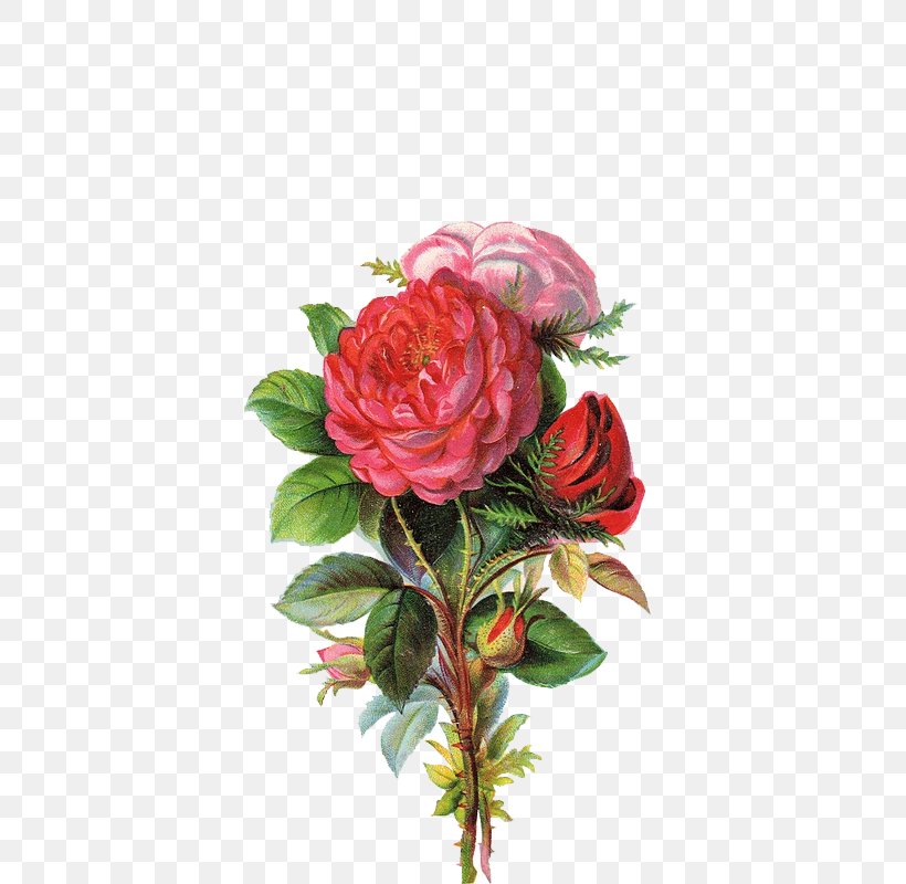 Art Flower Bouquet Clip Art, PNG, 800x800px, Art, Artificial Flower, Collage, Cut Flowers, Deviantart Download Free