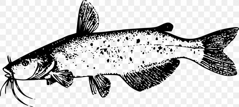 Catfish Drawing Clip Art, PNG, 2400x1083px, Catfish, Animal Figure, Artwork, Black And White, Coloring Book Download Free
