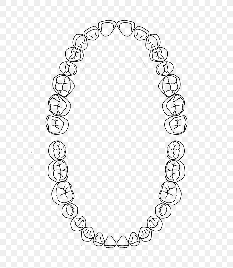 Dental Arch Human Tooth Dentistry Dental Midline, PNG, 640x942px, Dental Arch, Black, Black And White, Body Jewelry, Cosmetic Dentistry Download Free