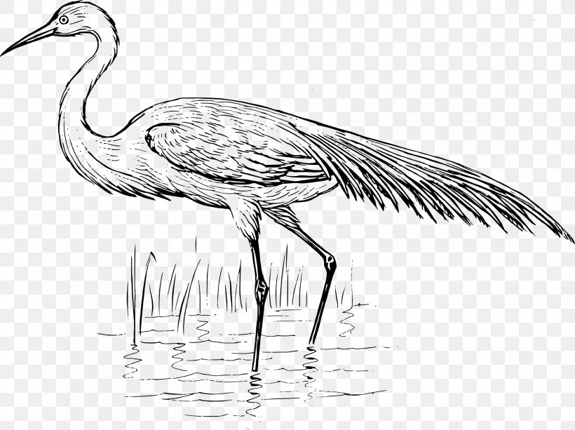 Heron Bird Crane Great Egret, PNG, 2400x1797px, Heron, Artwork, Beak, Bird, Black And White Download Free