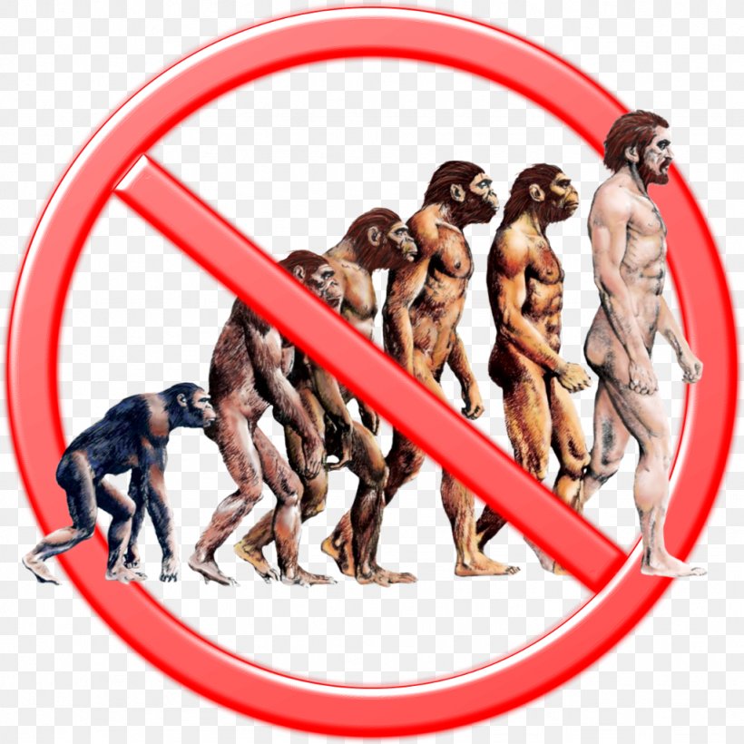 Human Evolution Great Apes Science, PNG, 1024x1024px, Human Evolution, Ape, Biology, Charles Darwin, Darwinism Download Free