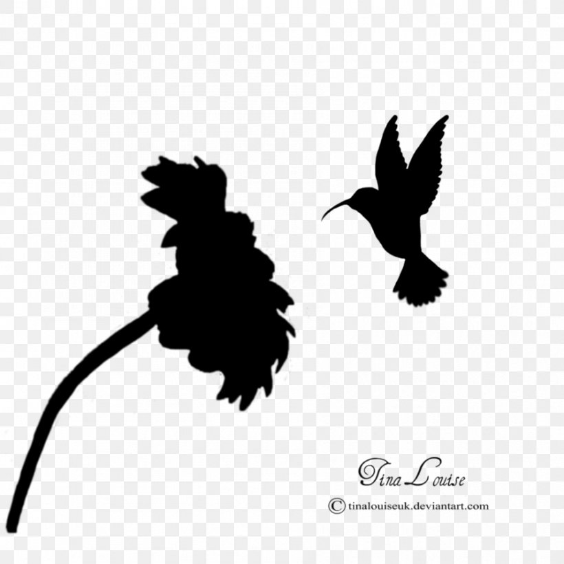 Hummingbird Silhouette Flower Photography, PNG, 894x894px, Hummingbird, Animal, Beak, Bird, Black And White Download Free
