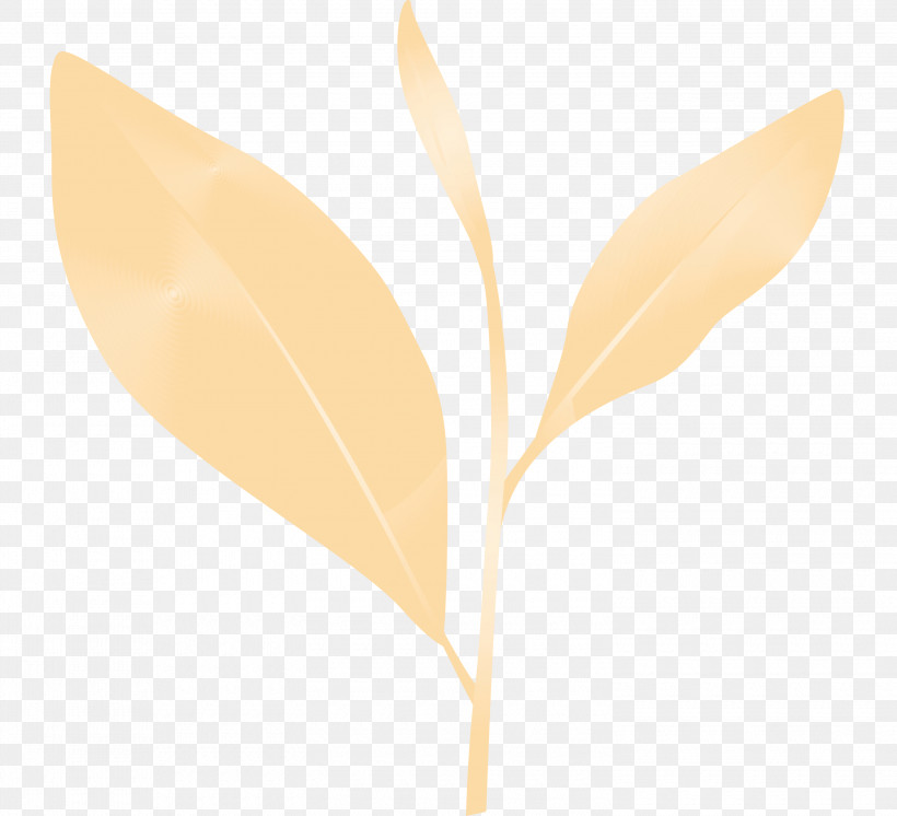 Leaf Plant Flower Pedicel, PNG, 3000x2732px, Tea Leaves, Flower, Leaf, Paint, Pedicel Download Free