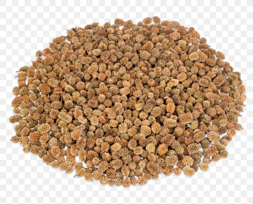 Wheat Berry Food Bean Cereal Lentil, PNG, 989x800px, Wheat Berry, Bean, Cereal, Chickpea, Commodity Download Free