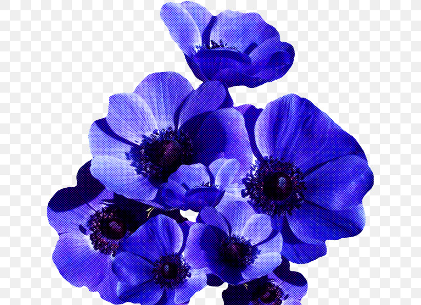Flower Blue Purple Petal Violet, PNG, 640x593px, Flower, Anemone, Bellflower, Blue, Cobalt Blue Download Free