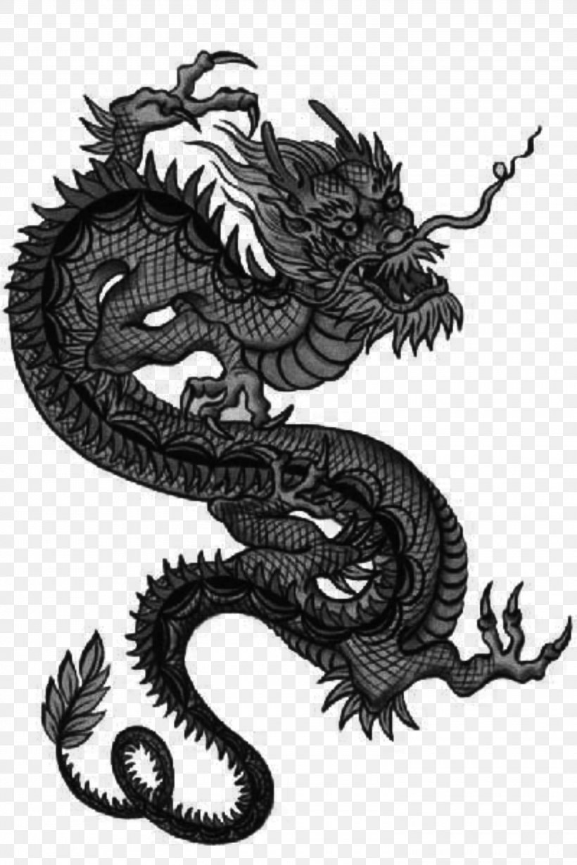 chinese dragon tattoo japanese dragon drawing dragon ink dragon Art Print  by Oktad0